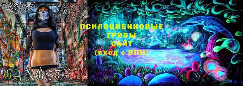 сколько стоит  Духовщина  Псилоцибиновые грибы Magic Shrooms 